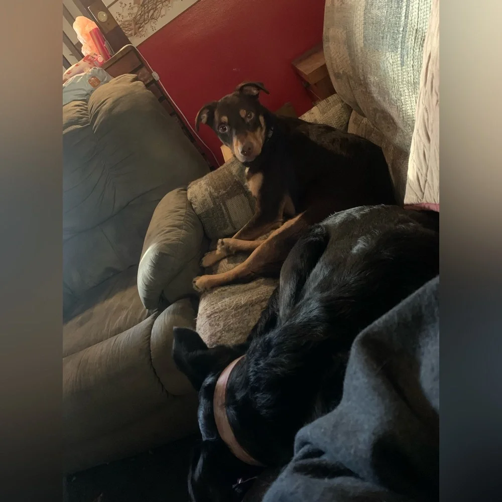 Still here! - Picture 12 of 12